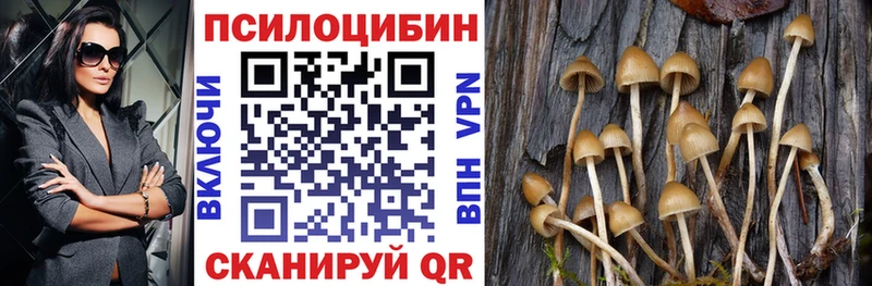 Псилоцибиновые грибы мицелий Бобров